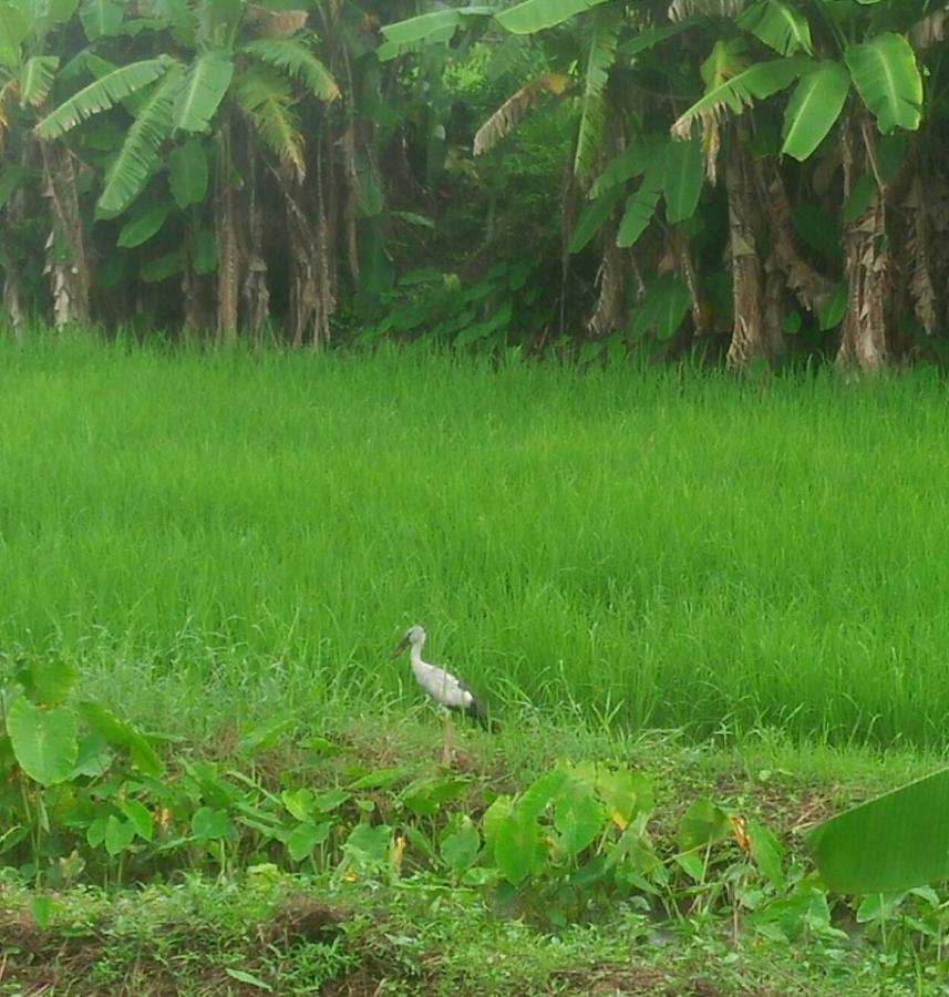 Sleep & Fishing Pua Apartment Nan Luaran gambar